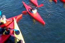 ndsc-cm1-kayak-2017-2