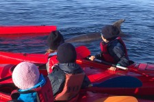 ndsc-cm1-kayak-2017-6