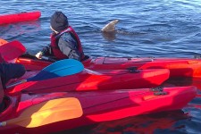 ndsc-cm1-kayak-2017-7