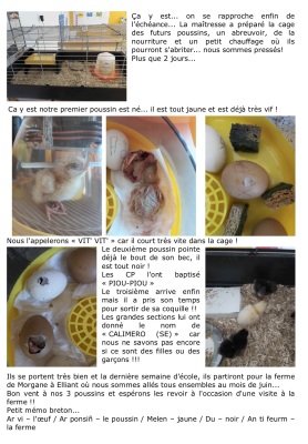 ndsc-ps-ms-bi-poussins-2018-2