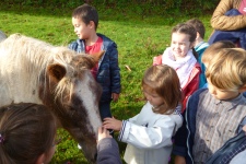 ndsc-gs-ferme-2017-1