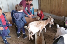 ndsc-gs-ferme-2017-2