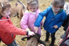 ndsc-gs-ferme-2017-3