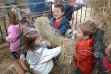 ndsc-gs-ferme-2017-4