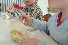 ndsc-ps-semaine-gout-2017-2